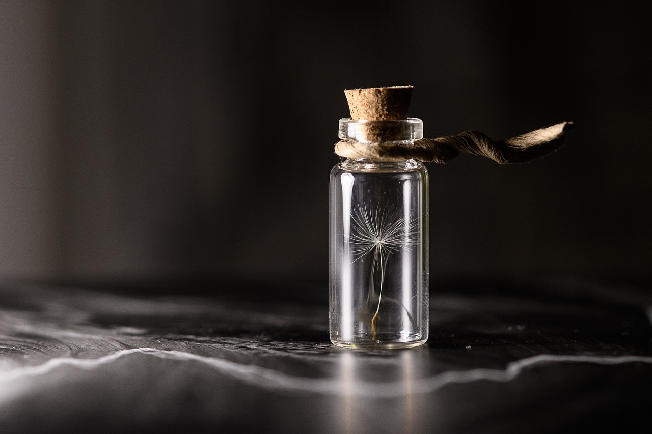 Philosophy of Science in Genetics – An Overview